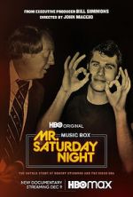 Watch Mr. Saturday Night Megavideo