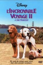 Watch Homeward Bound II Lost in San Francisco Megavideo