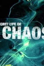 Watch The Secret Life of Chaos Megavideo