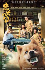 Watch Hachiko Megavideo