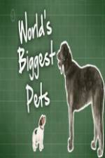 Watch World's Biggest Pets Megavideo