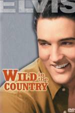 Watch Wild in the Country Megavideo