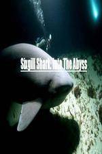 Watch National Geographic Wild Sixgill Shark Into The Abyss Megavideo