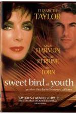 Watch Sweet Bird of Youth Megavideo