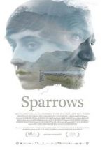 Watch Sparrows Megavideo