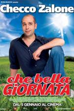 Watch Che bella giornata Megavideo