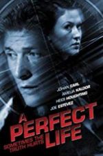 Watch A Perfect Life Megavideo