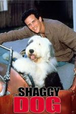 Watch The Shaggy Dog Megavideo