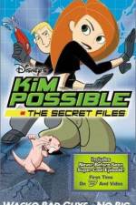 Watch "Kim Possible" Attack of the Killer Bebes Megavideo