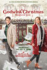 Watch A Godwink Christmas: Miracle of Love Megavideo