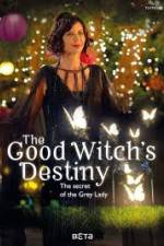 Watch The Good Witchs Destiny Megavideo