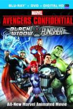 Watch Avengers Confidential: Black Widow & Punisher Megavideo