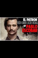 Watch The Rise and Fall of Pablo Escobar Megavideo