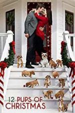 Watch 12 Pups of Christmas Megavideo