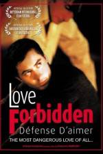 Watch Love Forbidden Megavideo