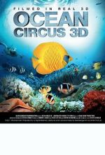 Watch Ocean Circus 3D: Underwater Around the World Megavideo