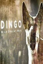 Watch Dingo Wild Dog at War Megavideo