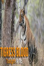 Watch Discovery Channel-Tigress Blood Megavideo