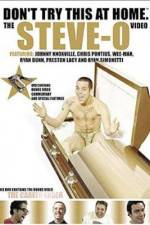 Watch Don't Try This at Home The Steve-O Video Megavideo
