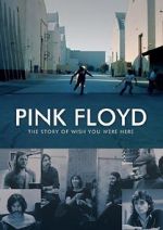 Watch Pink Floyd: The Story of Wish You Were Here Megavideo