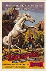 Watch Snowfire Megavideo