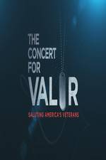 Watch The Concert for Valor Megavideo