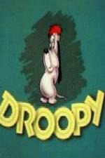 Watch Homesteader Droopy Megavideo