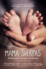 Watch The Mama Sherpas Megavideo
