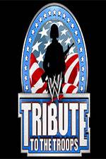 Watch WWE Tribute to the Troops Megavideo