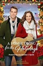 Watch A Homecoming for the Holidays Megavideo