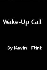 Watch Wake-Up Call Megavideo