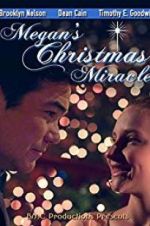 Watch Megan\'s Christmas Miracle Megavideo