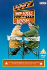 Watch The Story of Only Fools and Horses Megavideo