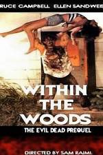 Watch Within the Woods Megavideo