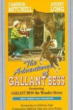 Watch Adventures of Gallant Bess Megavideo