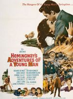 Watch Hemingway\'s Adventures of a Young Man Megavideo