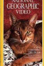 Watch Cats Caressing the Tiger Megavideo