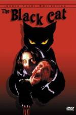 Watch Black Cat Megavideo