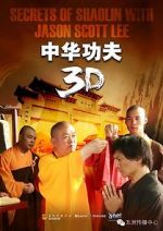 Watch Secrets of Shaolin with Jason Scott Lee Megavideo