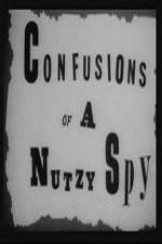 Watch Confusions of a Nutzy Spy Megavideo