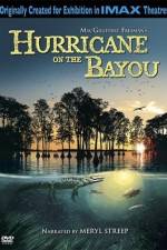 Watch Hurricane on the Bayou Megavideo