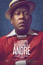 Watch The Gospel According to Andr Megavideo