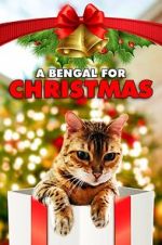 Watch A Bengal for Christmas Megavideo