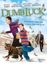 Watch Dumb Luck Megavideo