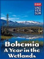 Watch Bohemia: A Year in the Wetlands Megavideo