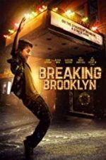 Watch Breaking Brooklyn Megavideo