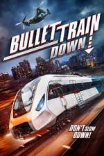 Watch Bullet Train Down Megavideo