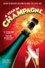 Watch A Year in Champagne Megavideo