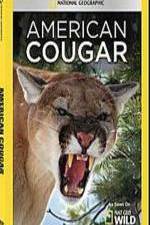 Watch National Geographic - American Cougar Megavideo