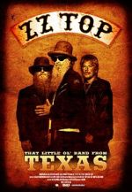 Watch ZZ Top: That Little Ol\' Band from Texas Megavideo